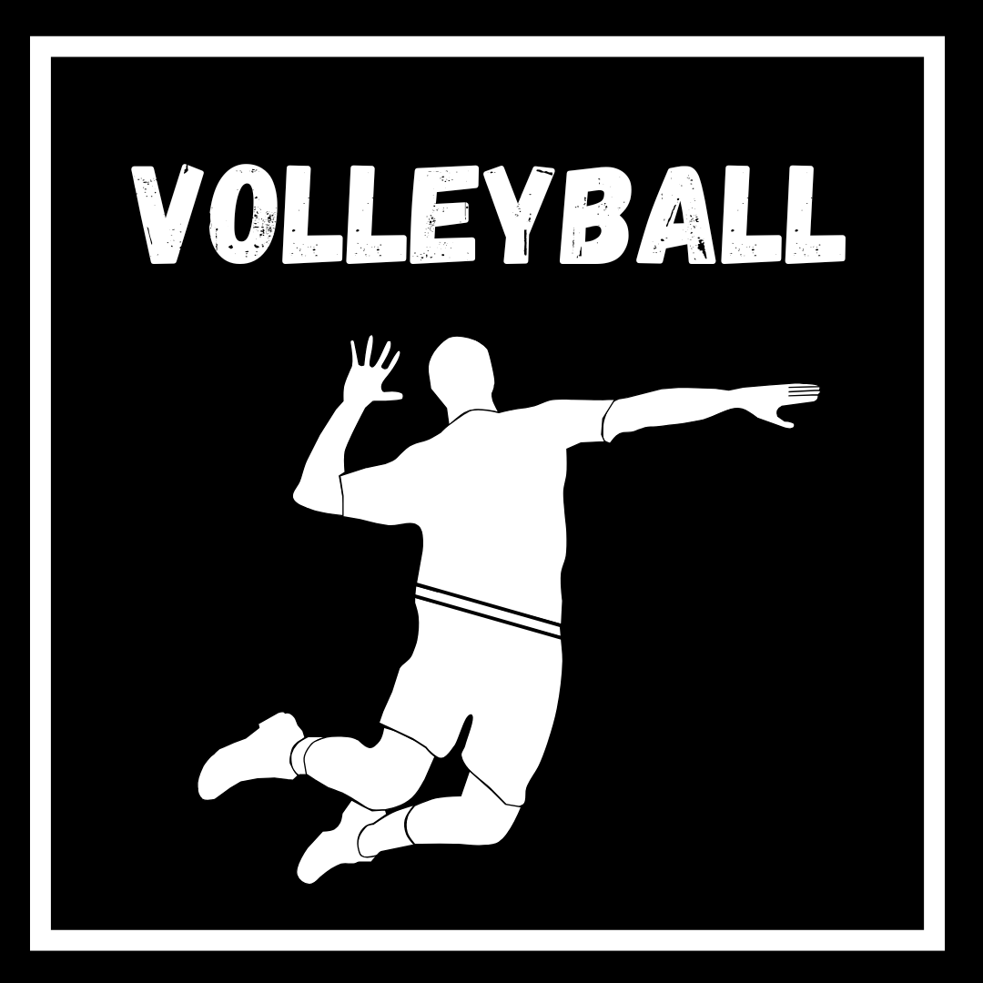 VOLLEY